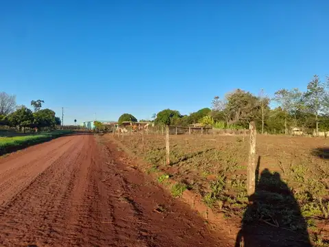 Edelira 100