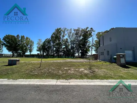 Terreno - Lote - Pilar del este - Santa Elisa - Lote 248