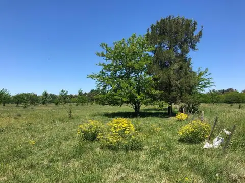 Terreno en Venta en Mercedes, USD 39.000