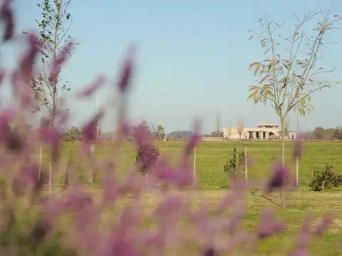 Ruta 205 Km 53, 100 y Adolfo Cambiaso