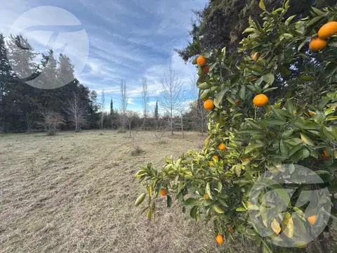 Villa Jardín