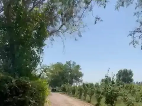 Finca,cultiva uva, damasco y membrillo ,4 dorm pileta
