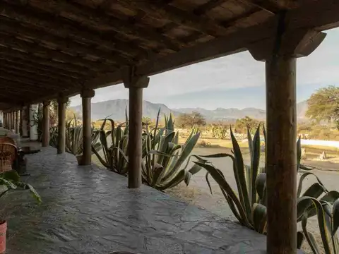 Cafayate. La Banda de Arriba. Lote 100