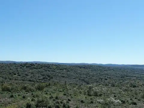 CAMPO EN VENTA AIGUA FORESTAL