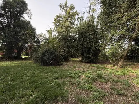 Terreno en Venta 36  mts Fondo
