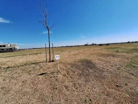 Ugarteche al 500