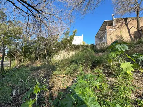 Terreno en Venta en Punta Chica, USD 300.000