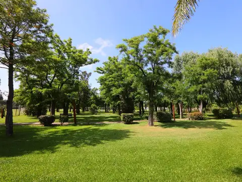 Pinciroli 2000