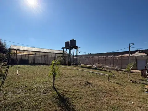 Hermana Clara 800