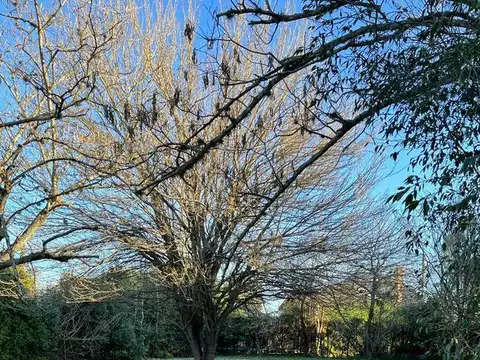 Lote a la venta en Country Banco Provincia