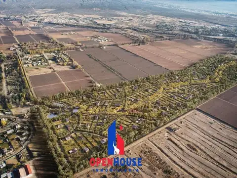 Lujan de Cuyo Mendoza  Barrio privado QUATTRO DEL PLATA , Vistalba.