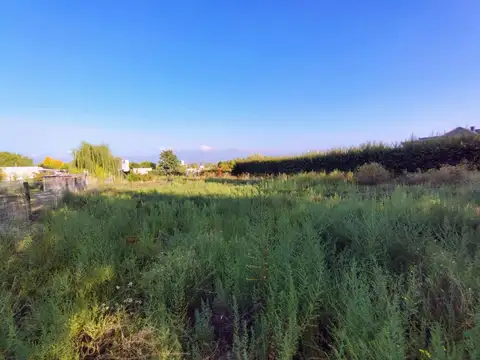 Terreno en Venta en Vistalba, USD 60.000