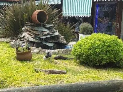 Local en Venta 35 años
