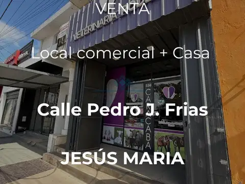VENTA-PROPIEDAD MIXTA: COMERCIO + VIVIENDA- JESUS MARIA