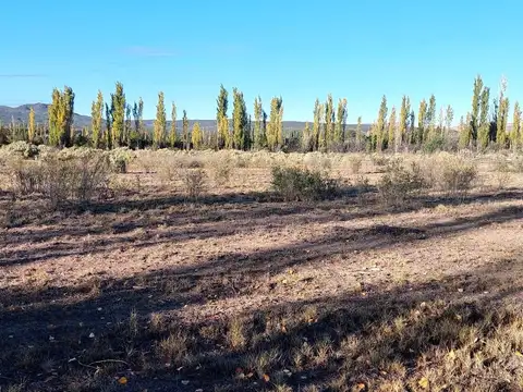 José Mora y C. Gutiérrez