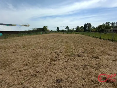 Terreno en Venta 43  mts Frente