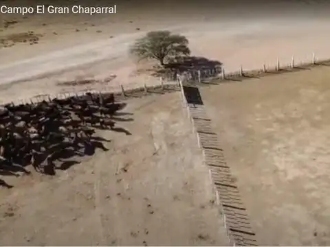 Campo en  Malbran (Dpto Aguirre/Santiago del Estero)