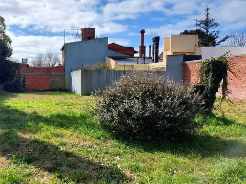 Florisbelo Acosta 6900