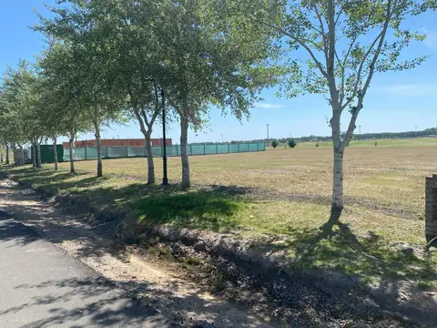 Terreno en Venta 20  mts Frente