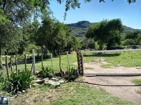 PANAHOLMA  CAMPO SAN IGNACIO ALTAS CUMBRES