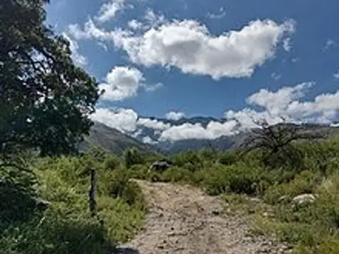 Terreno en Venta en Arroyo de los Patos, USD 15.600