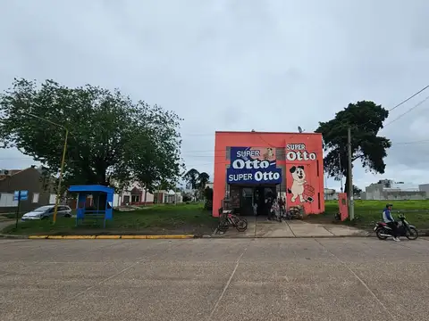Blvd. Montana