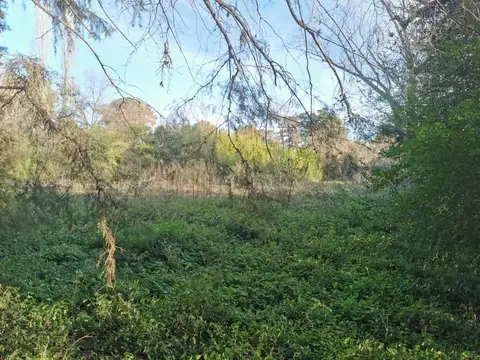 Terreno en Venta 31  mts Frente
