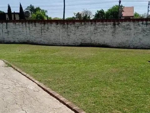 Elisio Smith 2300
