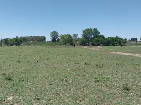 Terreno en Venta en Arroyo de la Cruz, USD 48.000