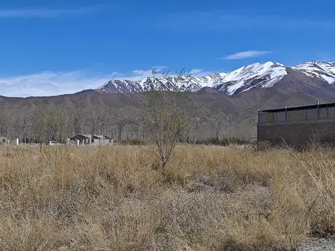 Uspallata, San Alberto, venta terreno 5743 m2 con casa y cabaña