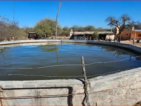 Campo en Venta de 4.037  ha
