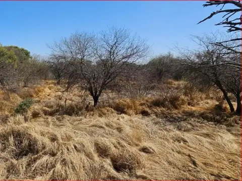 Campo en Venta Ganadero