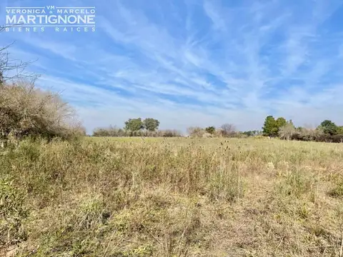 Única Fracción 65.000 M2 - Exaltación De La Cruz