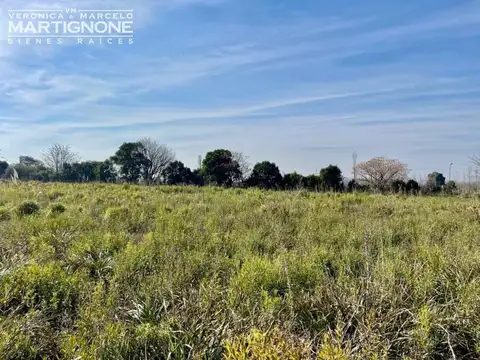 Única Fracción 65.000 M2 - Exaltación De La Cruz