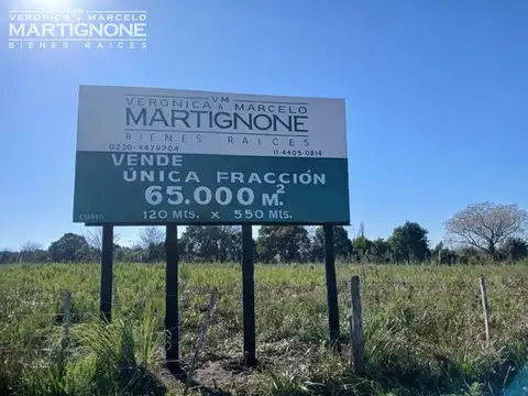 Única fracción 65.000 m2