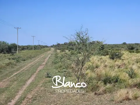 Estancia ganadera - San Luis -