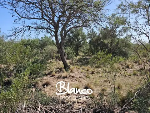 Estancia ganadera - San Luis -