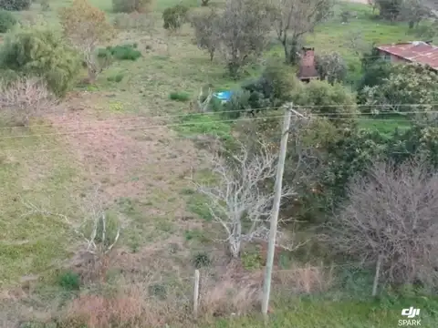 Marcos Rufino
