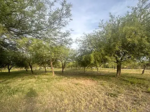 Terreno en Venta de 806,0 m2
