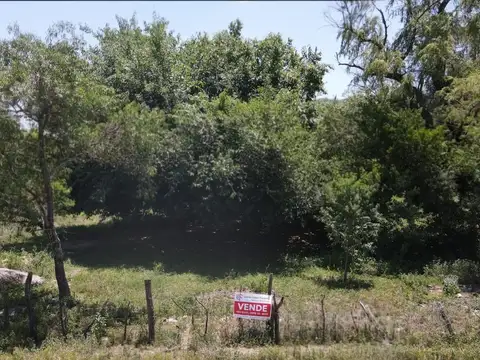 Los Pensamientos 100