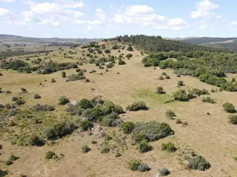 ruta 12
