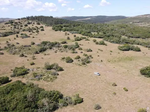 ruta 12