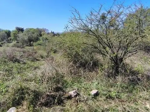 Terreno en Venta de 560,0 m2