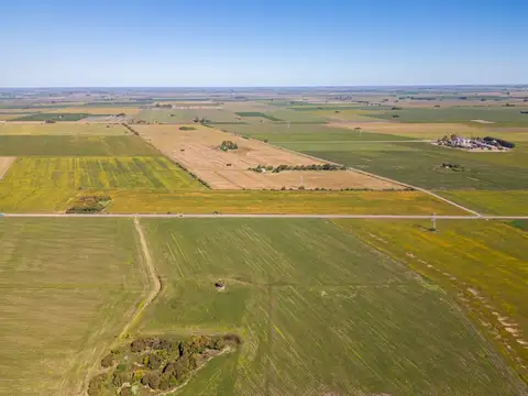 CAMPO EN VENTA 12.5 HA ZONA INDUSTRIAL