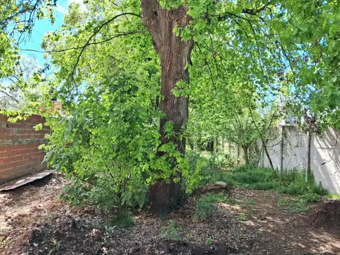 Posibilidad de financiar el 50 %