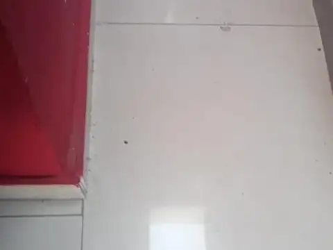 Manuela Pedraza 5100