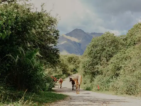 san javier traslasierra