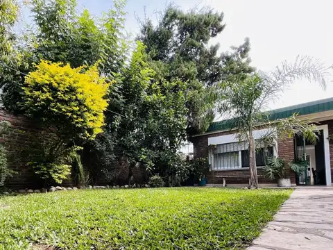 San Lorenzo 800