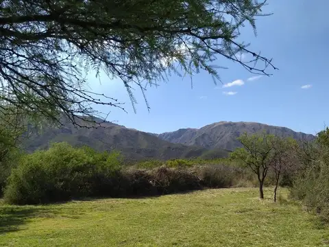 1.5 Hectáreas en Los Molles SL