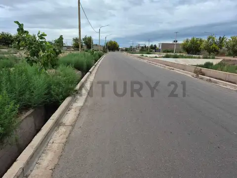 Terreno en Venta 10  mts Frente